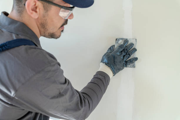 Best Asbestos and Lead Testing During Mold Inspection  in Rpinteria, CA