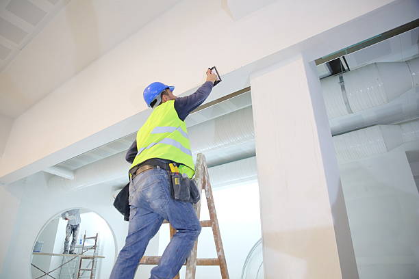 Trusted Carpinteria, CA Mold Removal Experts