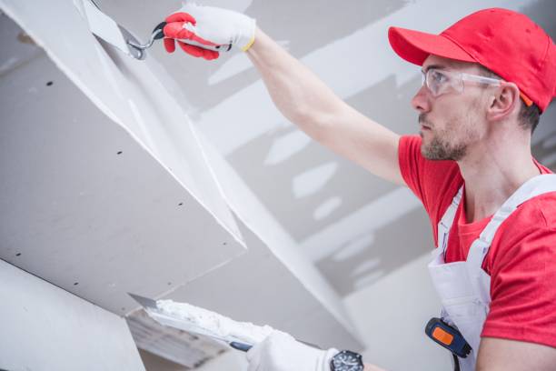 Best Dehumidification Services  in Rpinteria, CA