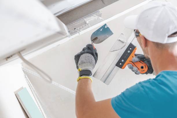 Best Mold Documentation for Insurance Claims  in Rpinteria, CA